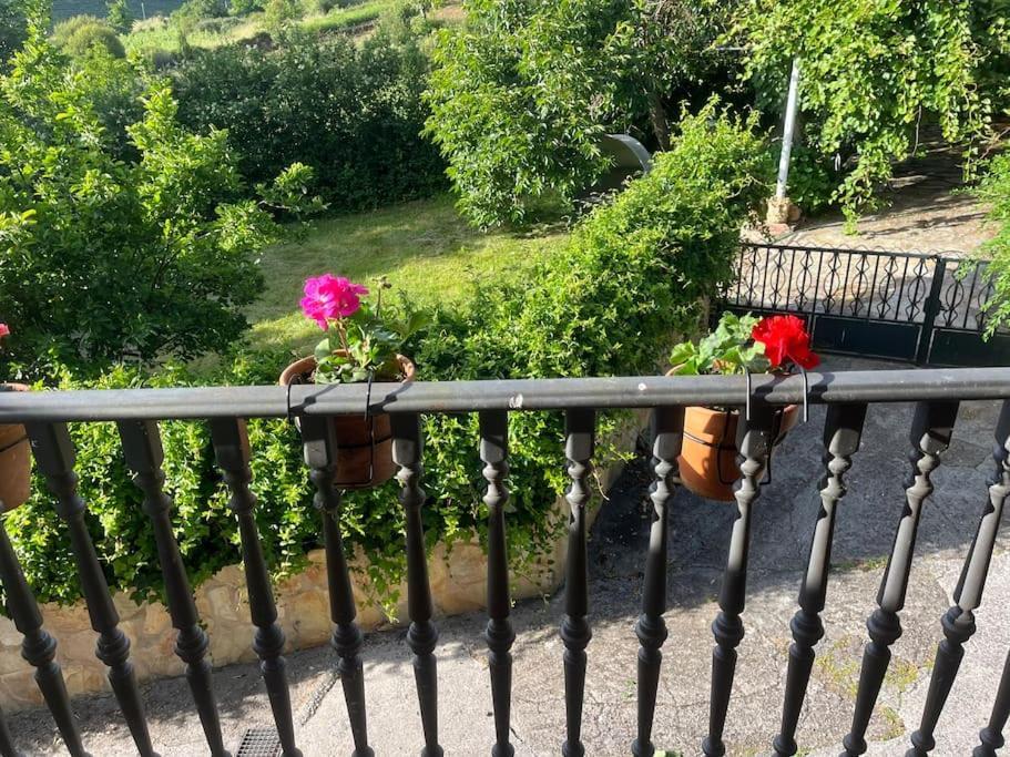 Casa A Boga Ribeira Sacra Villa Abeleda Buitenkant foto